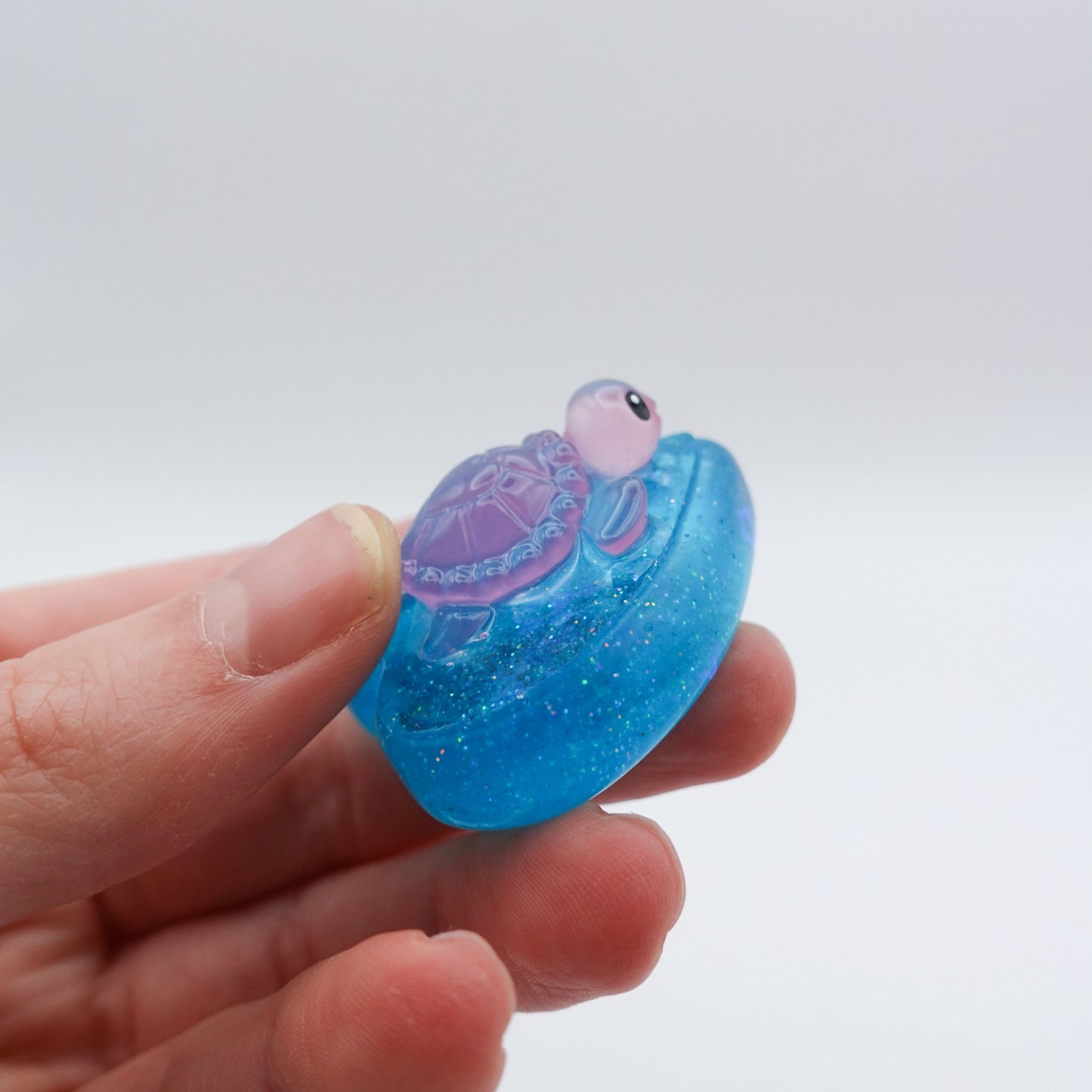 Mystery Turtle Worry Heart