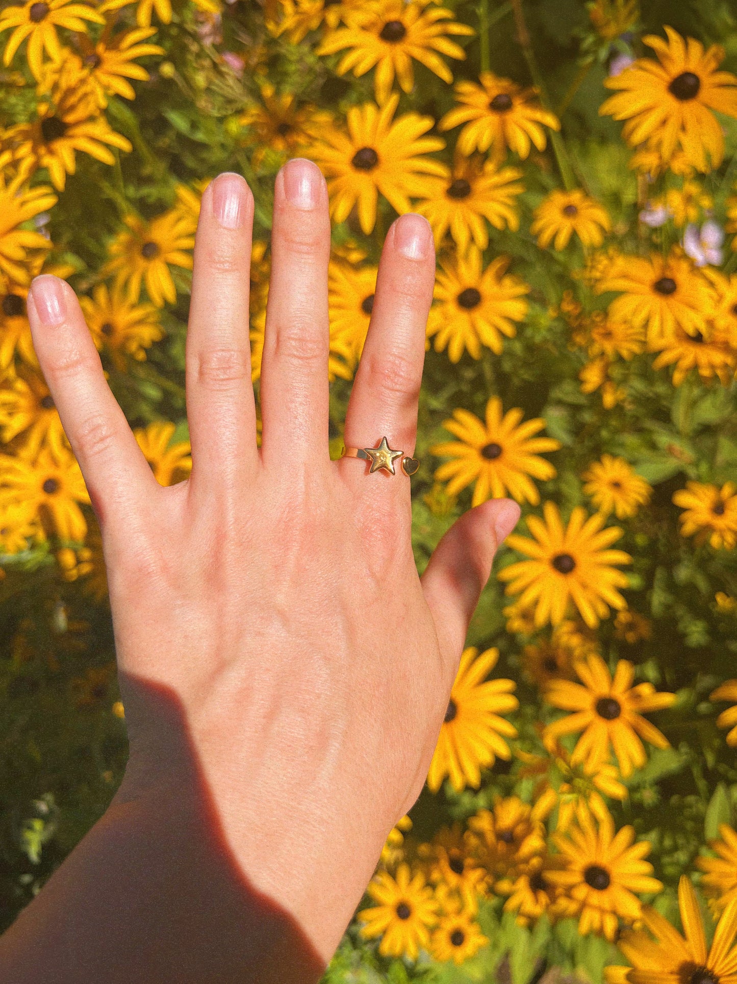 Star Heart Spinner Ring - Gold Stainless Steel